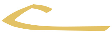 VCK24_logo_gold_frei